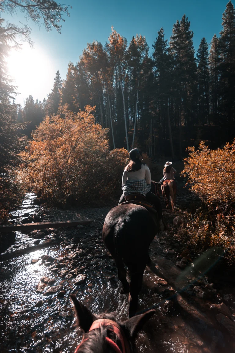 Cabalgata por un bosque de montaña en Colombia