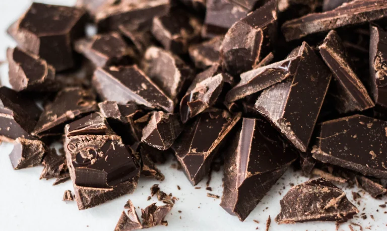 Cacao tour: from bean to chocolate bar